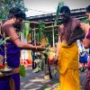 තෛපොංගල් උත්සවය 2020